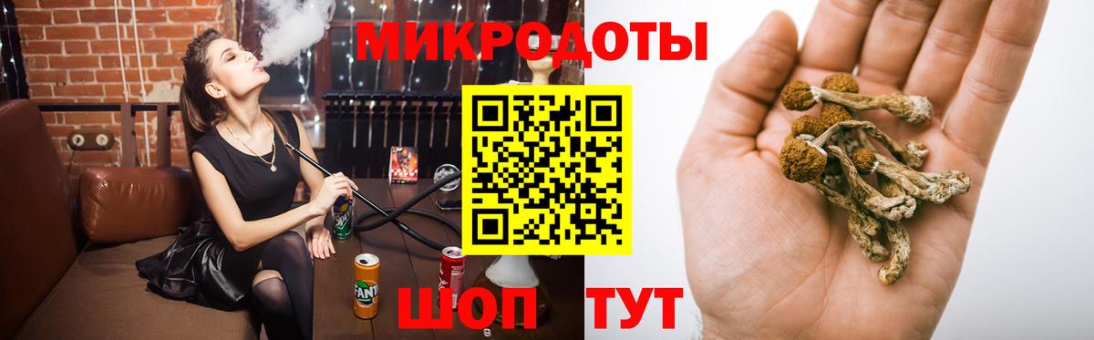 Галлюциногенные грибы Psilocybine cubensis  Псилоцибиновые грибы мухоморы  Вход с VPN  Урюпинск 